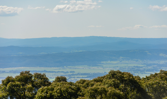 丹頓農山區 Mt. Dandenong